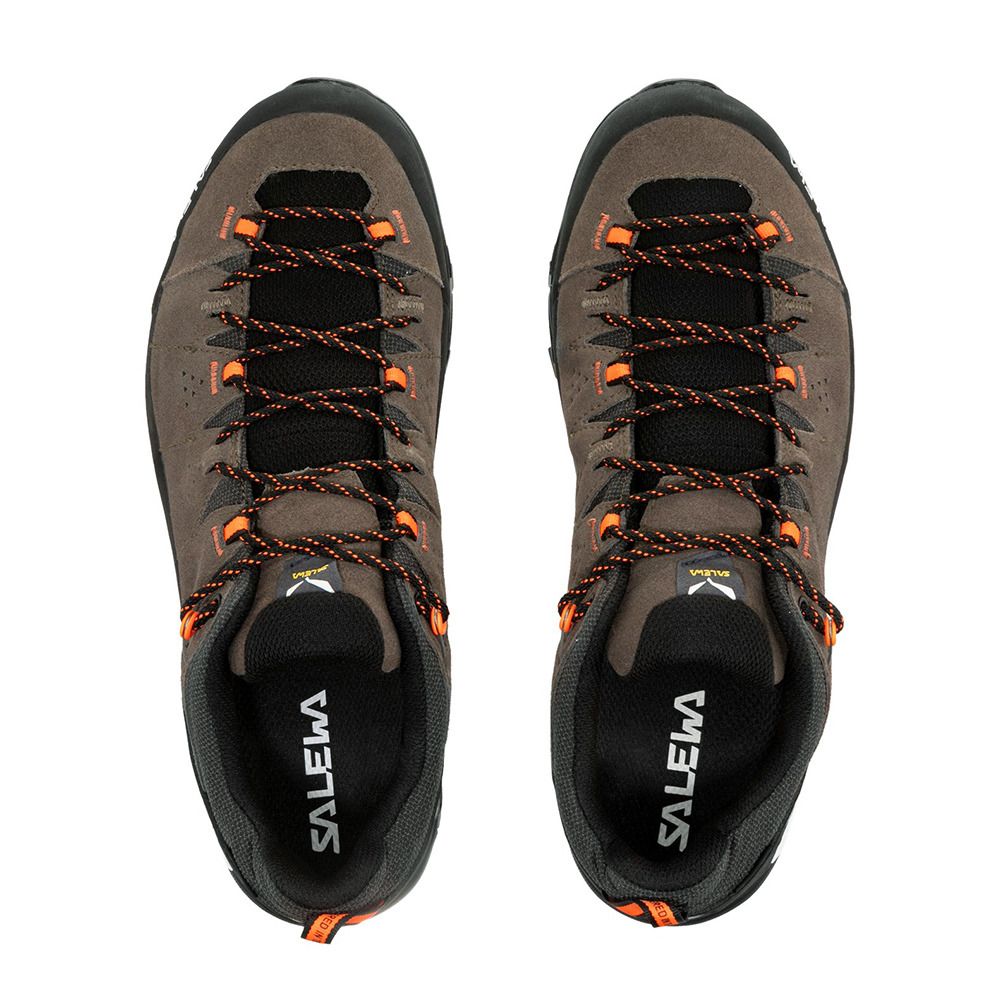 Salewa ALP TRAINER 2 GTX - Chaussures randonné Homme bungee cord/black