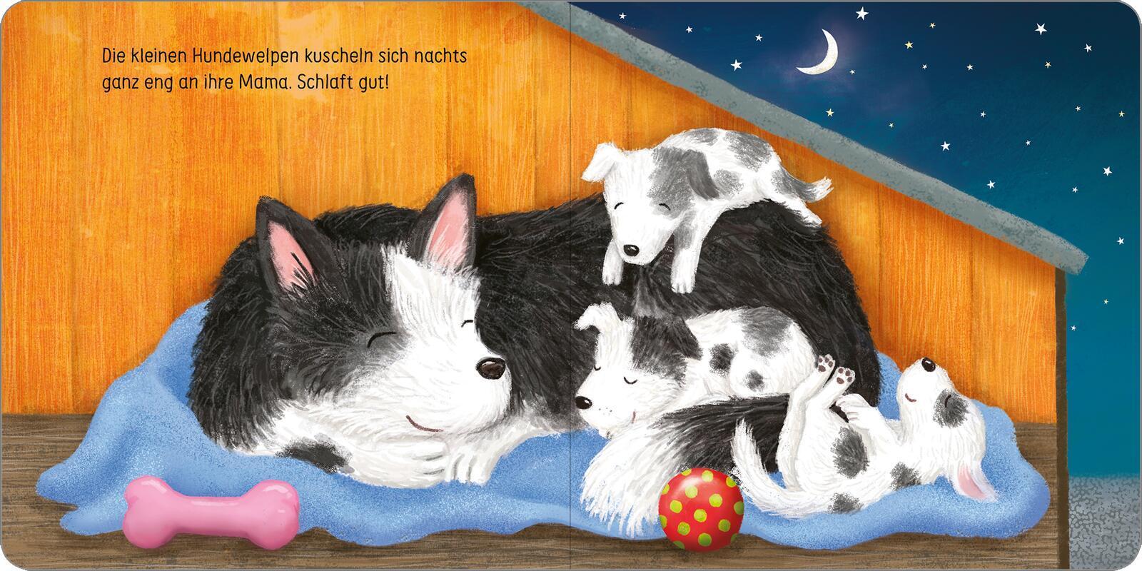 Hab dich lieb, kleines Küken!
