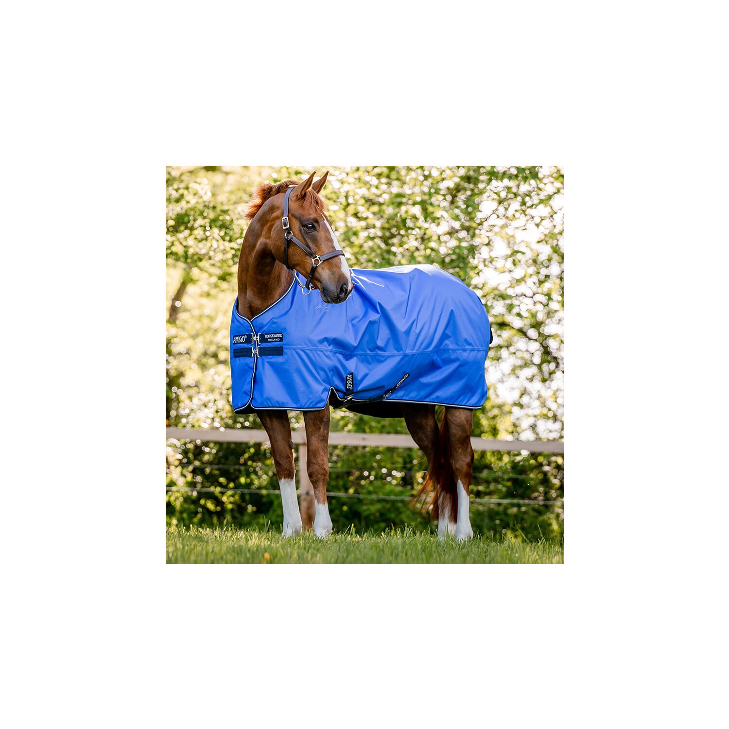 HORSEWARE Outdoordecke AMIGO Hero Ripstop 50 g - blue/navy