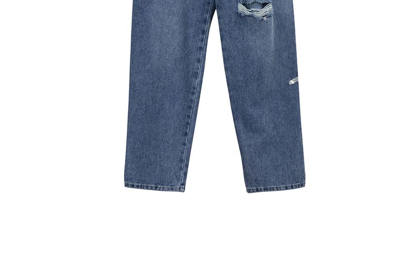 Ashteroid - Plus-size jeans met hoge taille en rechte pijpen