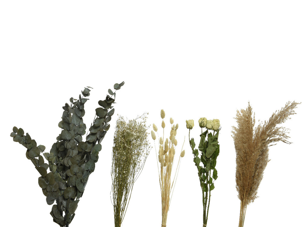 Bouquet sur tige fleurs séchées naturel