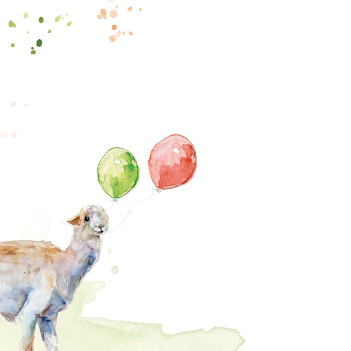 Michelle Dujardin | Verjaardagskaart | Lama