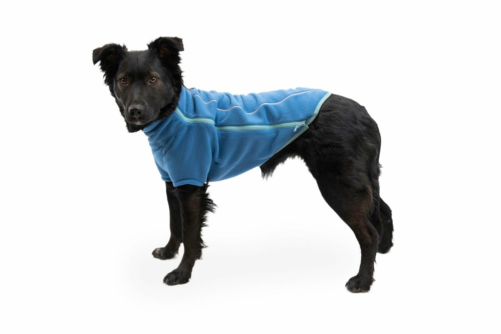 Veste polaire climate changer™ des manches et une fermeture à glissière. Couleur: blue jay (bleu), taille: l