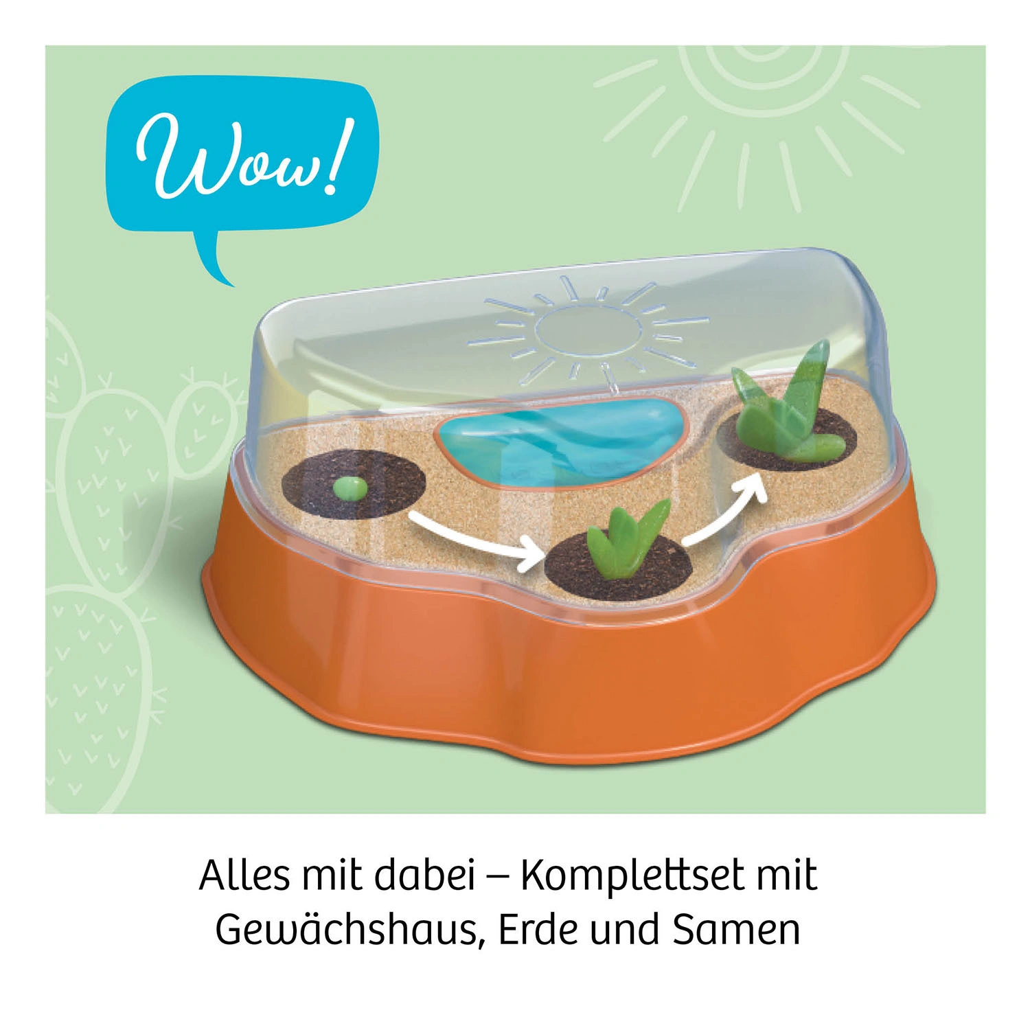 Experimentier-Set KAKTEEN-WÜSTE