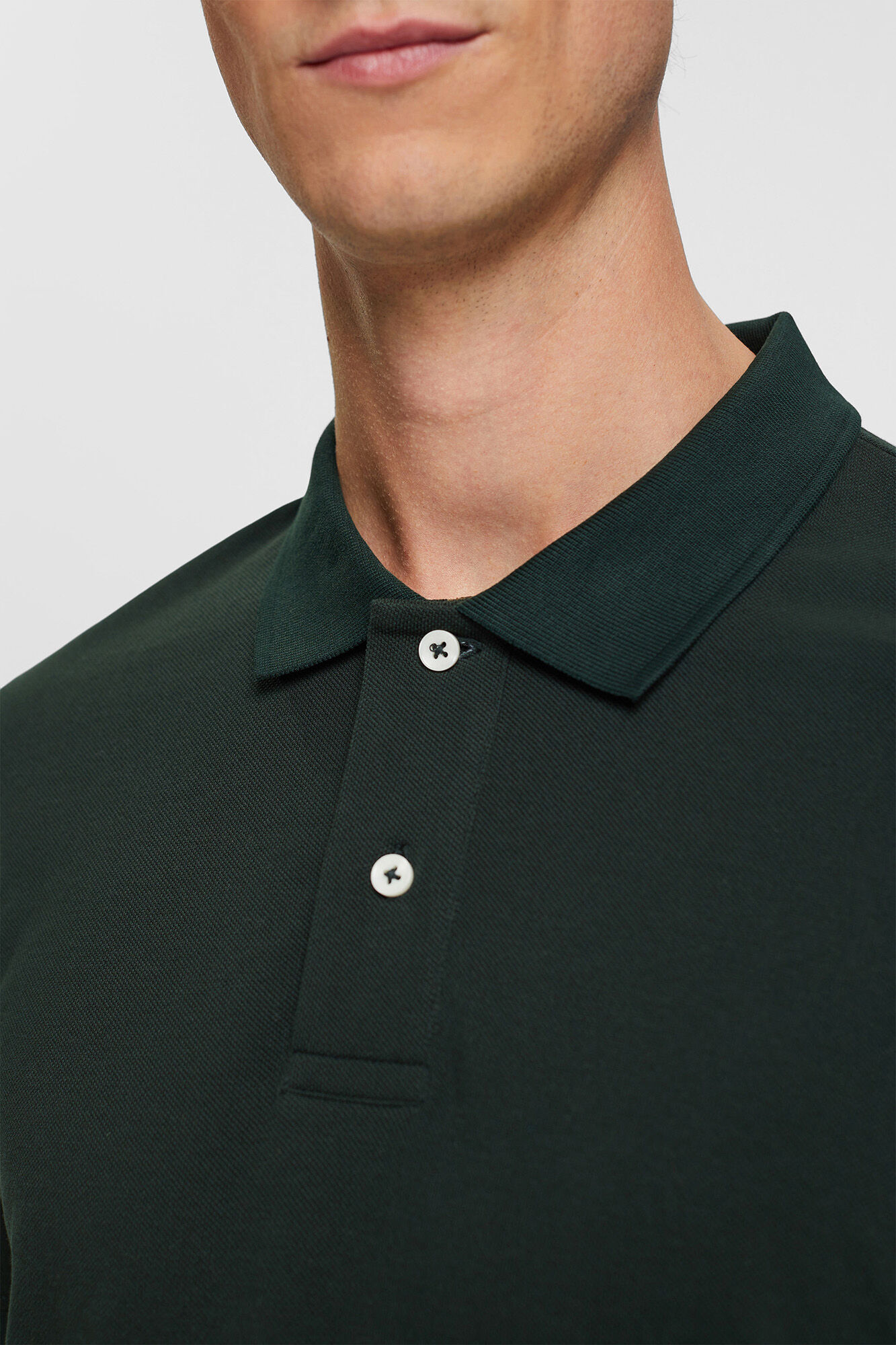 Camisa polo básica em piqué de algodão - Verde escuro