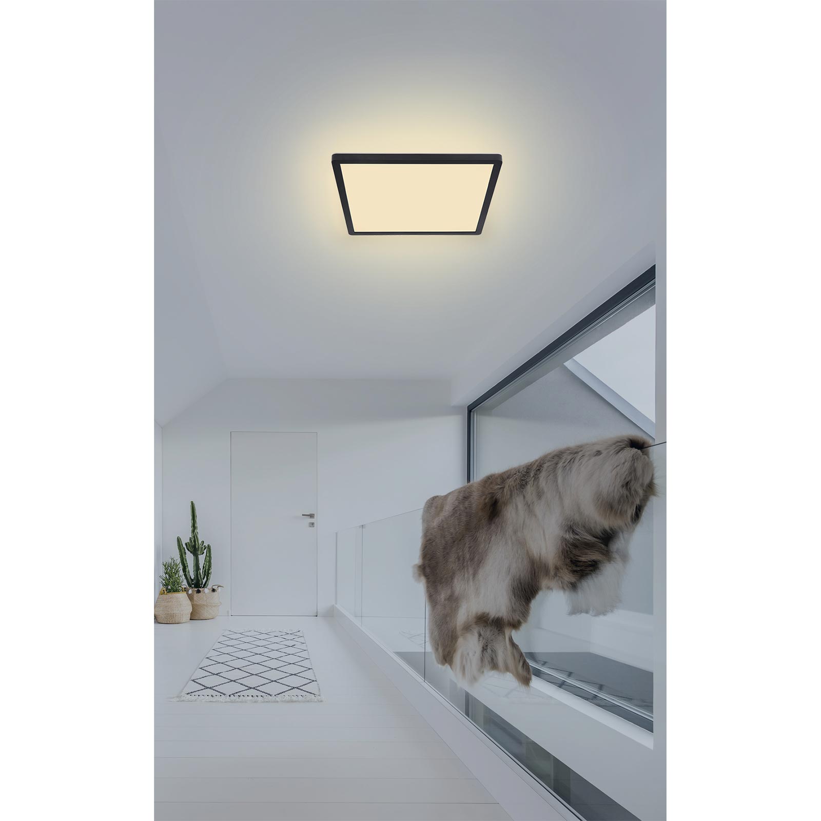 LED-Panelleuchte - schwarz - dimmbar - 29,4x29,4 cm