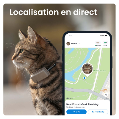 Tractive GPS Tracker Cat5 Mini für Katzen hellbraun