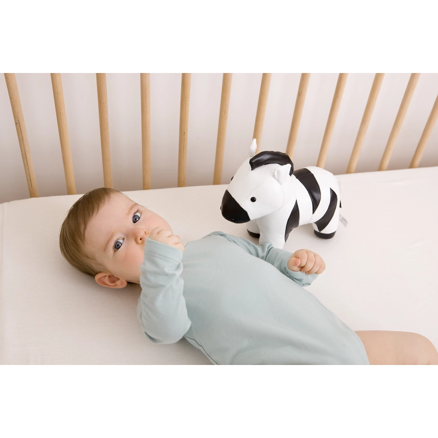 Little Big Friends Die Musiktiere - Robert das Zebra