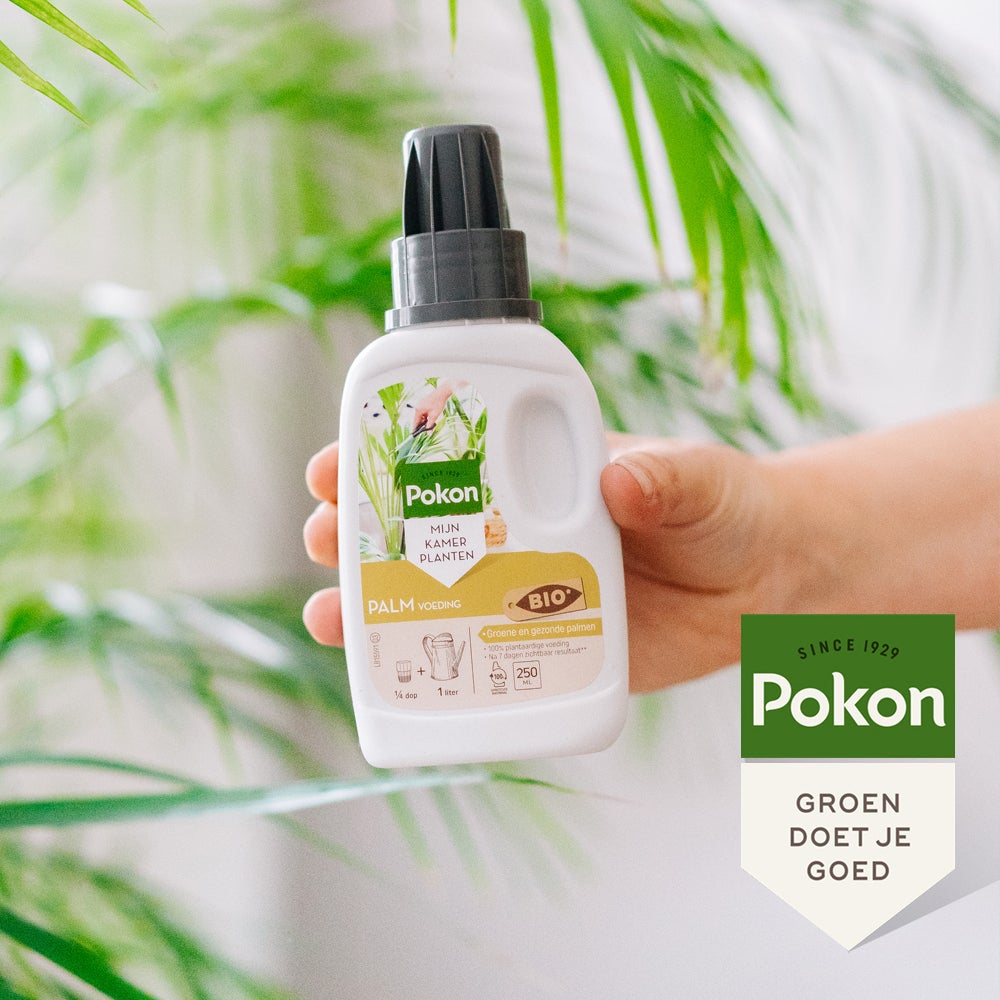Pokon bio palm voeding 250 ml