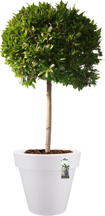 Elho bloempot Pure wit D 39 H 35,7 cm