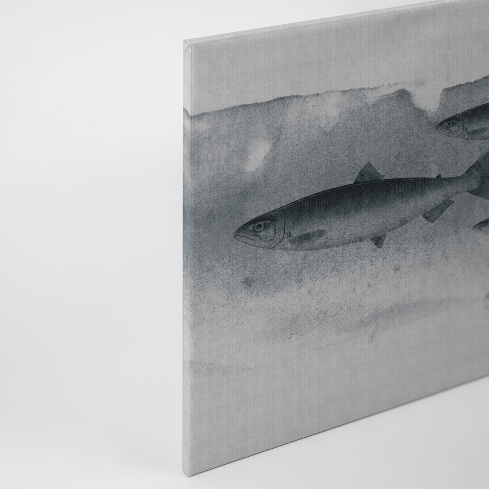 Leinwandbild FISCHE - grau - 90x60 cm