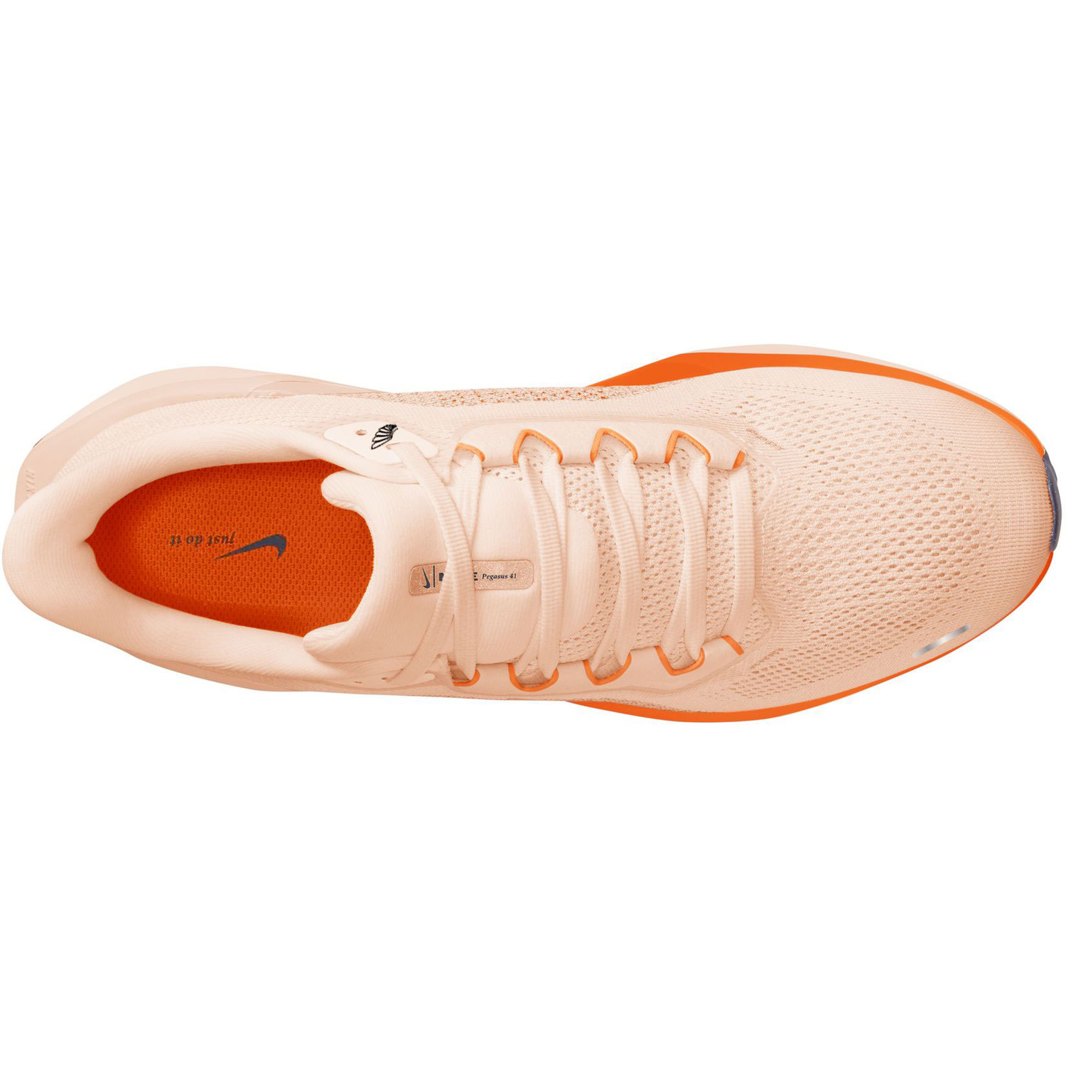 Nike Pegasus 41 Heren