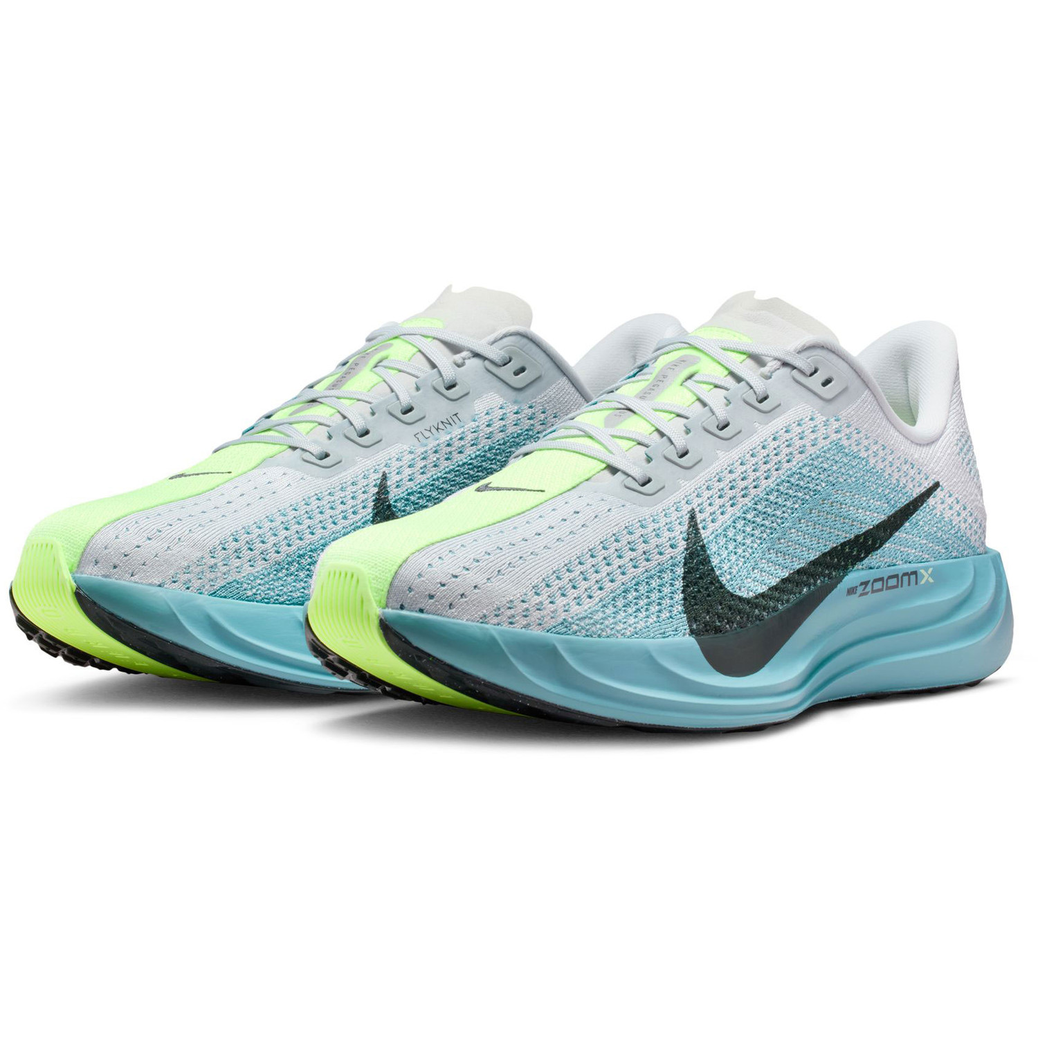 Nike Pegasus Plus Heren