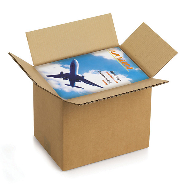 Caisse carton brune double cannelure RAJA 40x30x18 cm, lot de 15