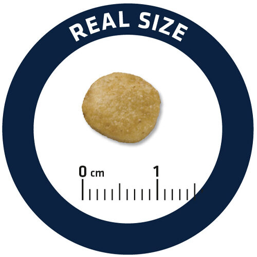 Affinity Advance Veterinary Diets Renal Hond