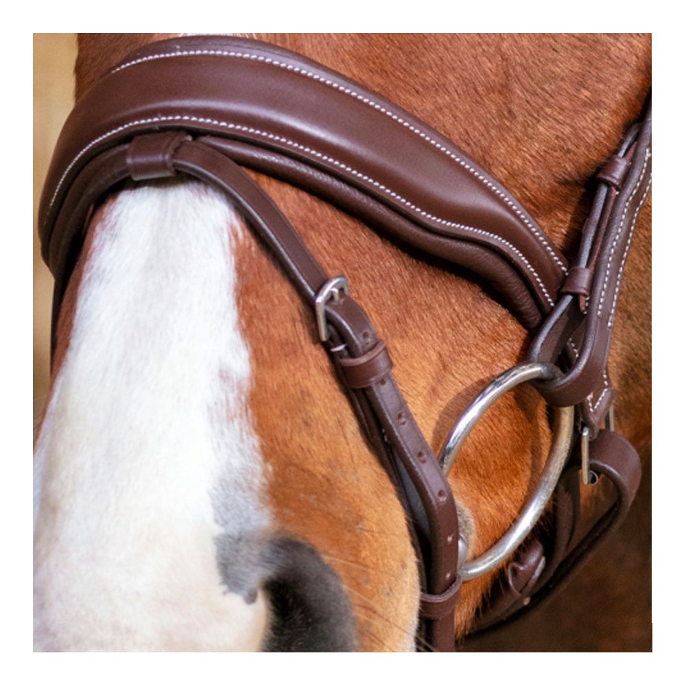 Norton PRO MISS - Bridon havane