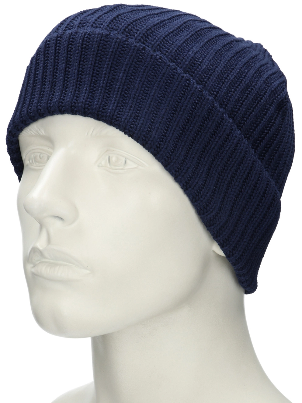 Patagonia Fishermans Rolled Beanie navy blue