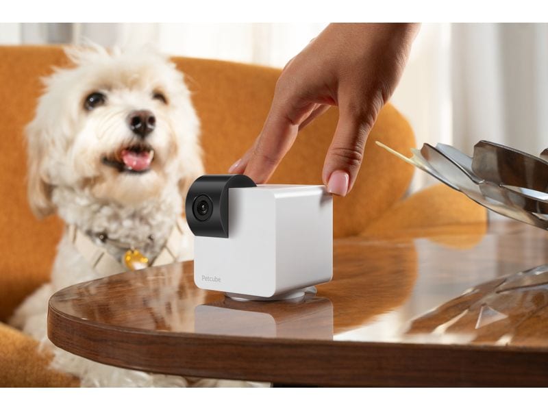 Petcube Haustierkamera 360 Cam Überwachungskamera für Tiere