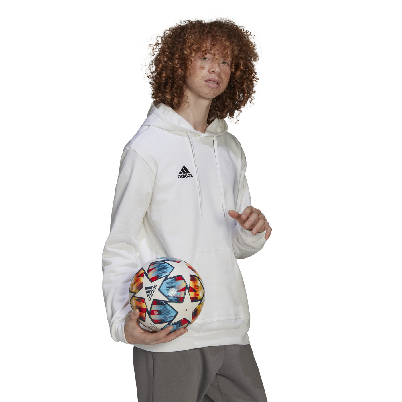 Adidas Entrada 22 Sweat Hoodie Wit Zwart