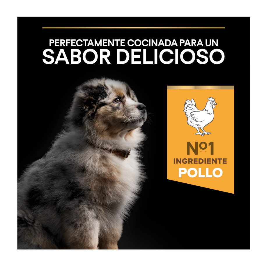Ração Pro Plan para Filhotes de Porte Médio com Frango