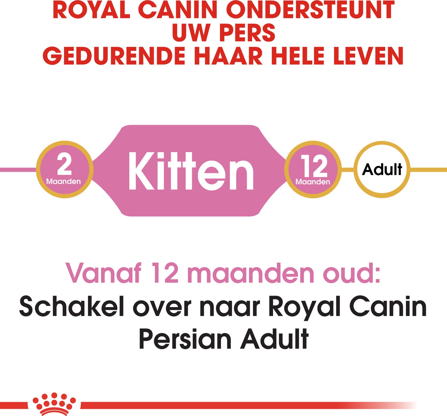 Royal Canin kattenvoer Persian kitten 2 kg