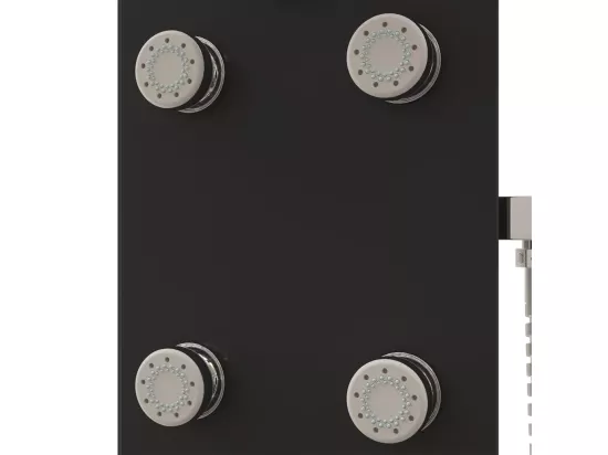 Panneau de douche pomme argenté 25 x 47.5 x 130 cm 02_0003437