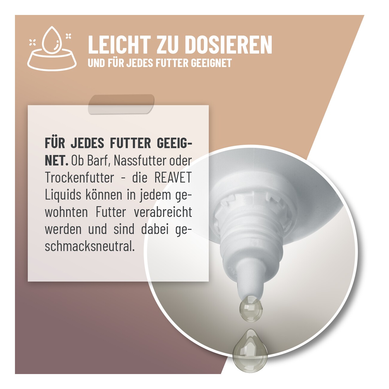 REAVET Magen & Darm Tropfen Katzen 50ml