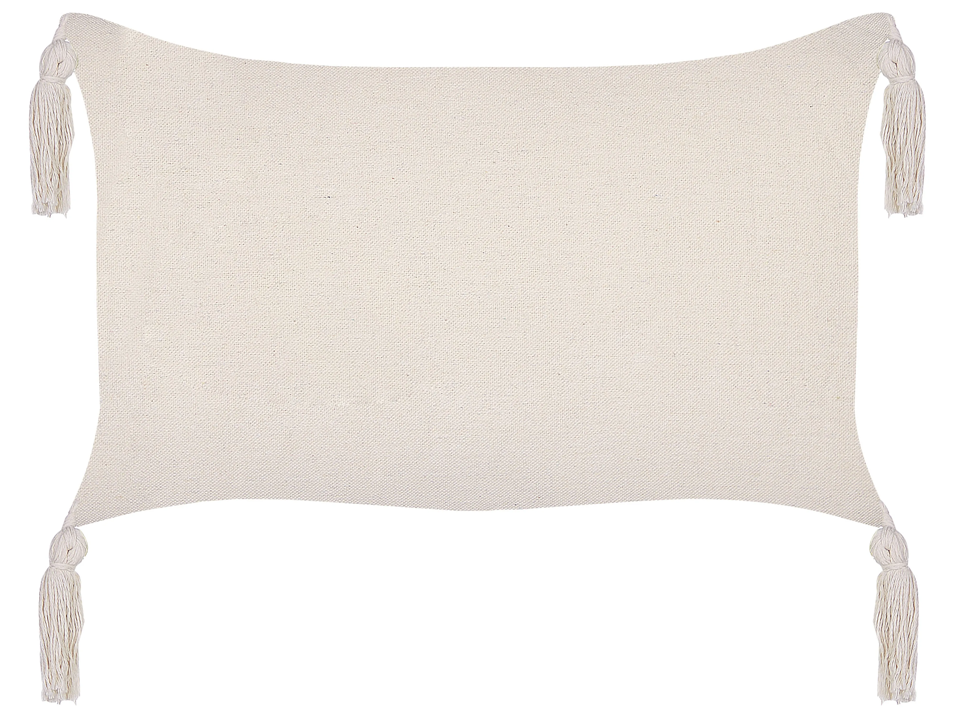 Set van 2 sierkussens HAKONE 45 x 25 cm Mintgroen geometrisch patroon