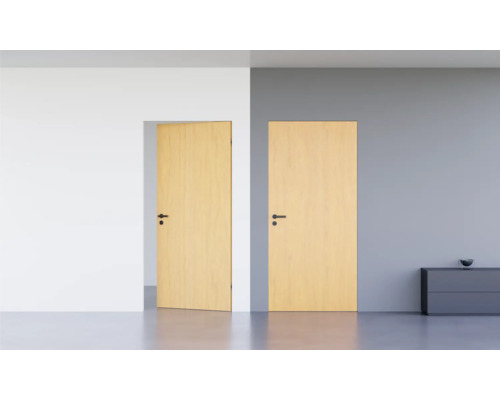 Pertura inbouw binnendeur Vidar HPL beuken 883x2001 mm incl. inbouw blokkozijn, magneetsluiting WC RVS DIN links omgekeerd (naar binnen openend)