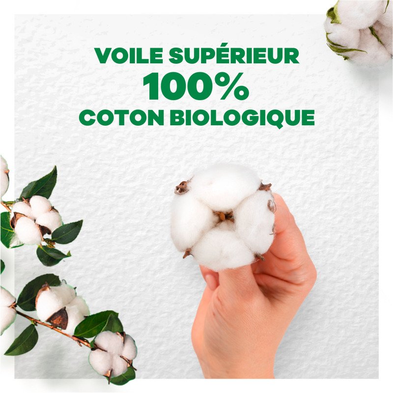 Serviettes hygiéniques long avec ailettes Cotton Bio Always