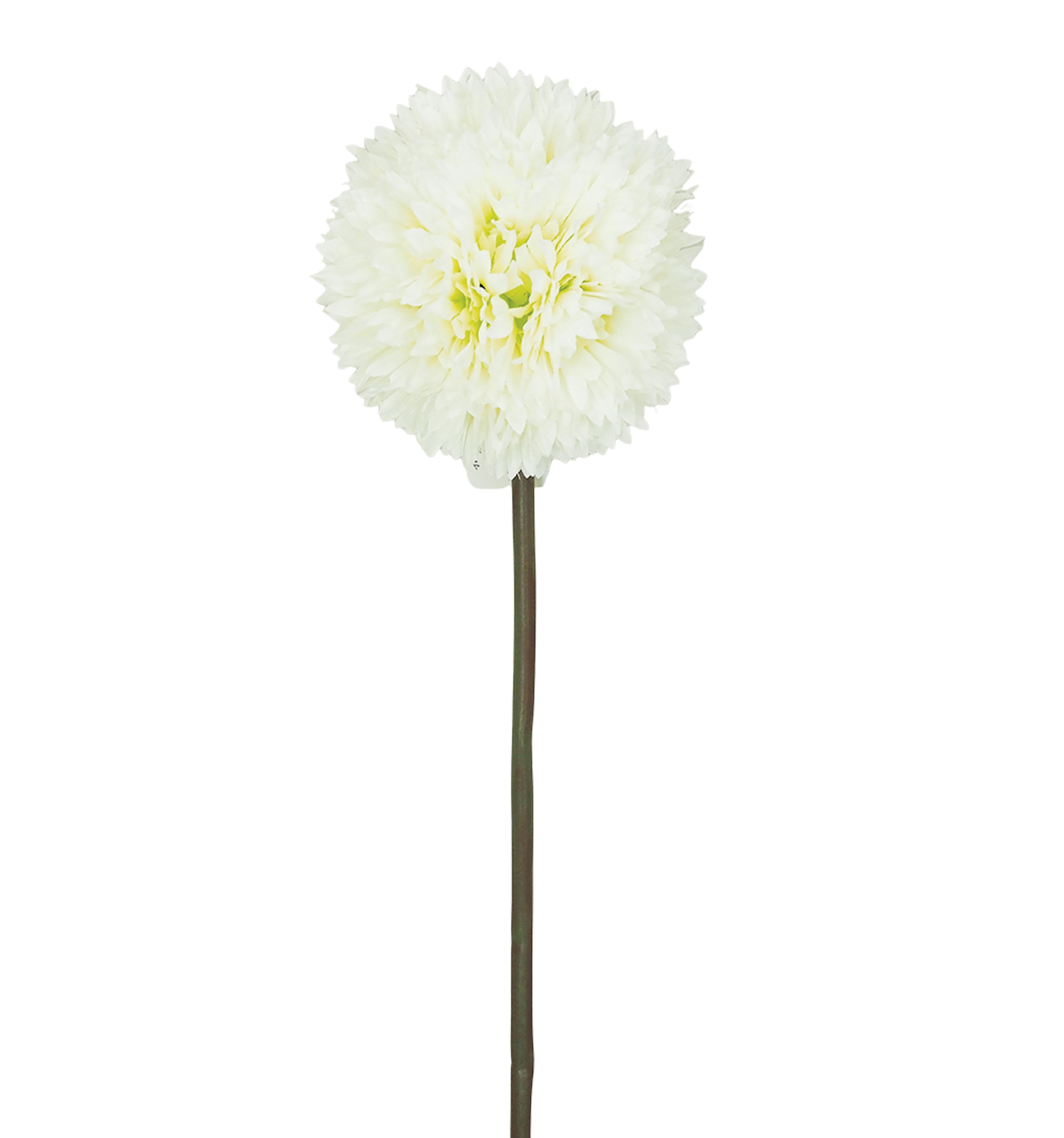 TIGE ALLIUM H.63CM BLANC