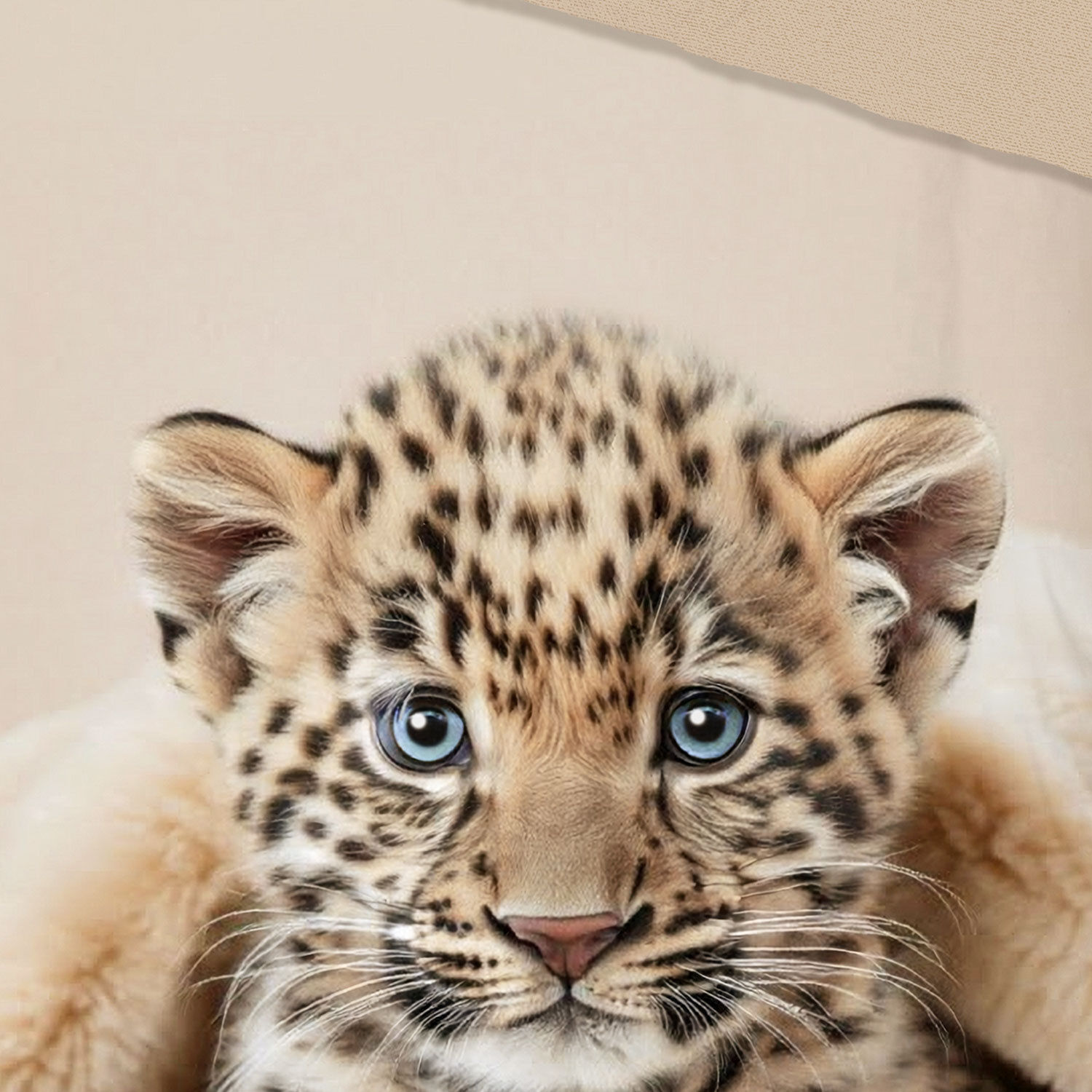 Bettwäsche mit Leopardbaby