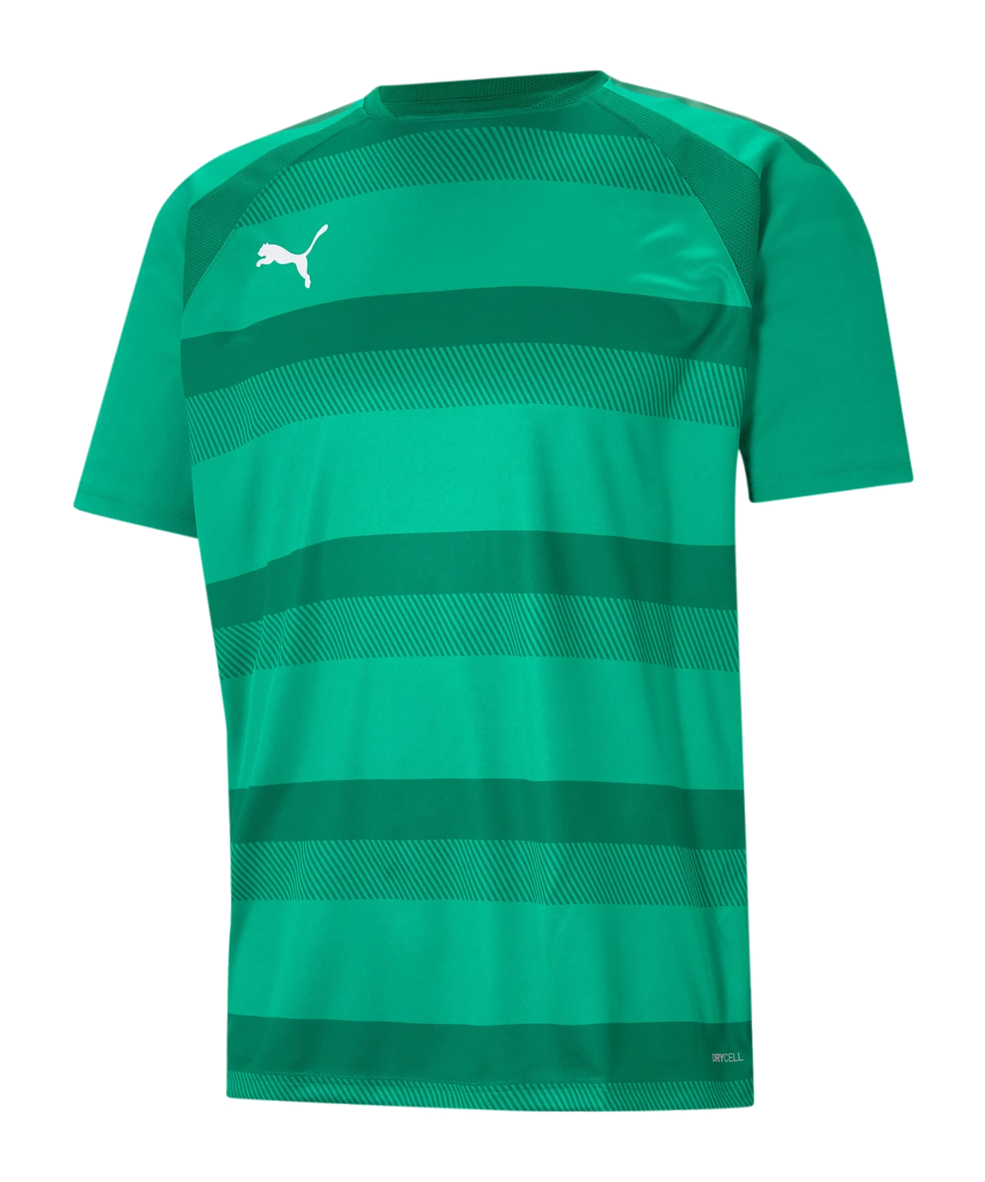 PUMA teamVISION Trikot Grün F05