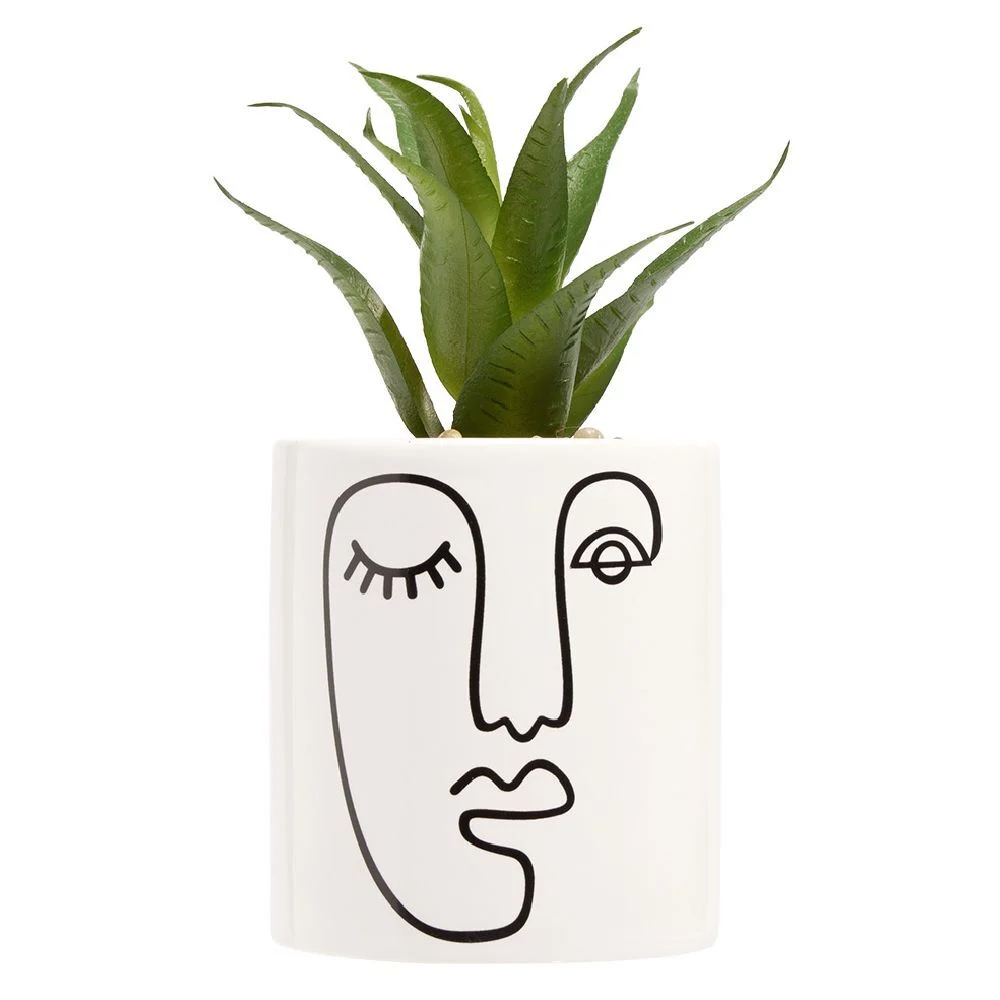 Plante succulente artificielle dans pot en grès motif visage line art