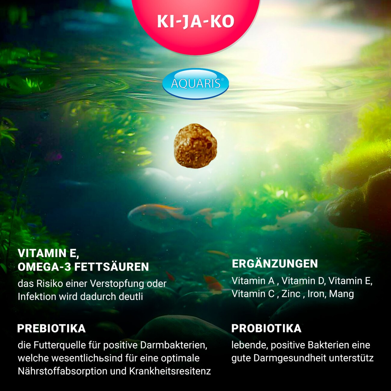 KI-JA-KO Koifischfutter Health 1 kg / 6mm