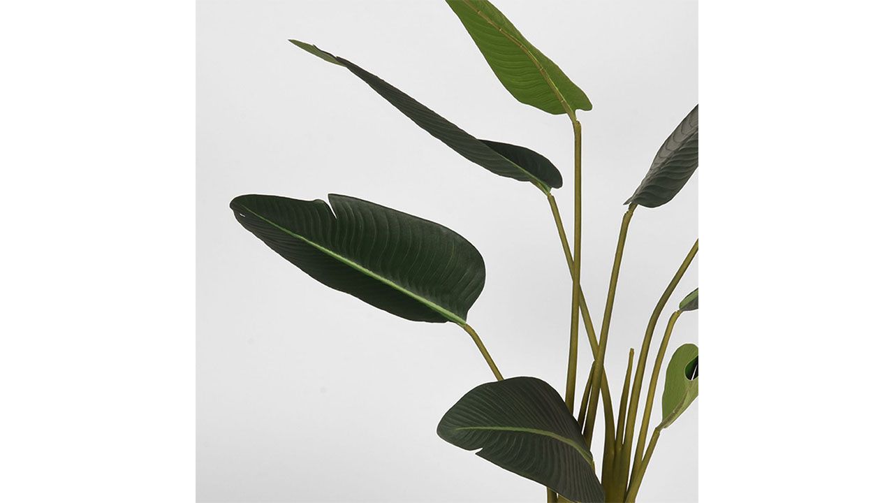 Kunstplant Strelitzia DS-54.001B70 x D70 x H100 cm