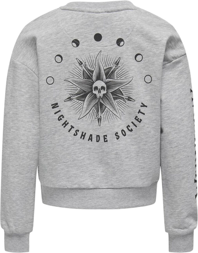 ONLY KOGNEVERMORE LIFE L/S LICENS O-NECK Grå