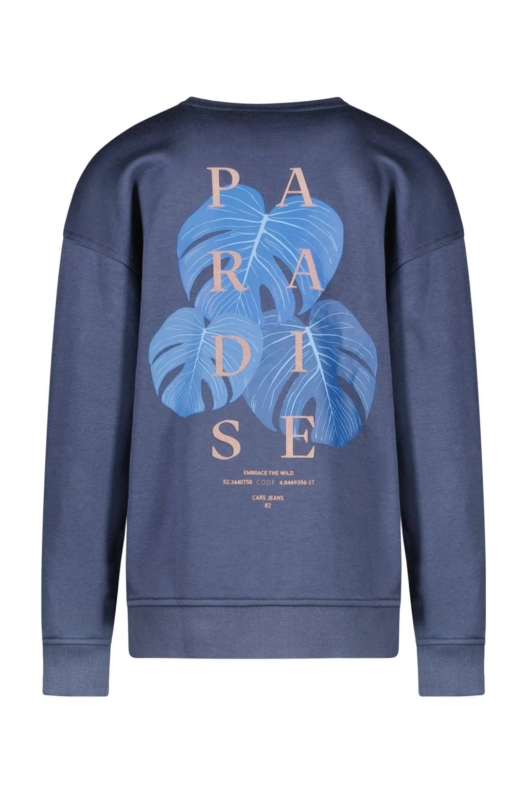 Cars sweater donkerblauw