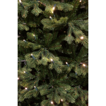 Black Box Trees Maclura Kunstkerstboom met LED Verlichting - H230 x ø147 cm - Groen