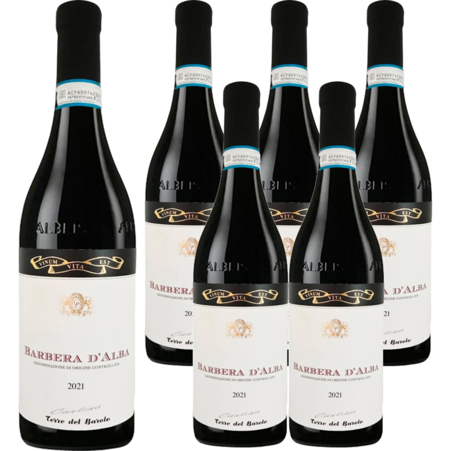 Babera DOC d'Alba Terre del Barolo 6x 75cl -6x 75cl