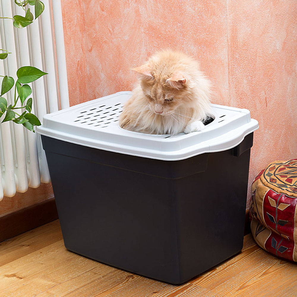 Ferplast bac à litière pour chat, toilettes couvertes pour chat, avec entrée supérieure, couvercle perforé, 38,8 x 57,5 xh 39 cm,