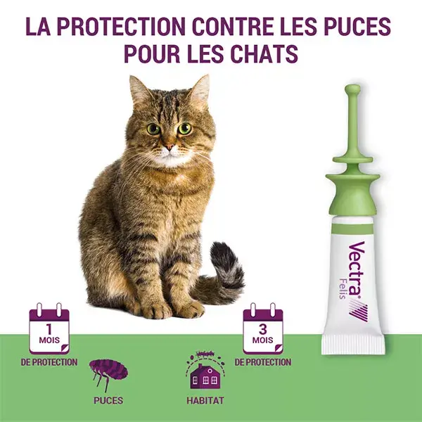 Vectra® Felis solução spot-on para gatos, 3 pipetas