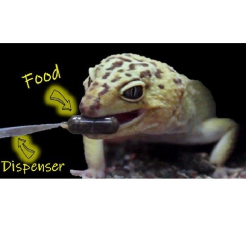 Alimento Movebite para geko-leopardo e pogona sabor Tenebrio