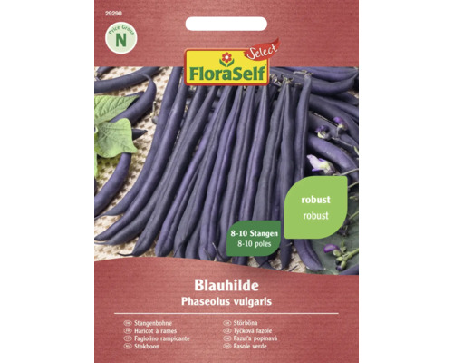 Stokbonen Blauhilde FloraSelf Select open-pollinated zaden groentezaden