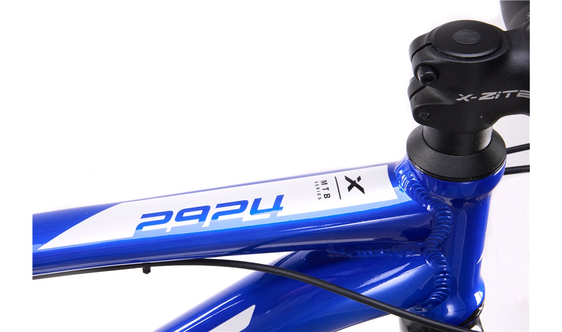 Mountainbike 2924 29