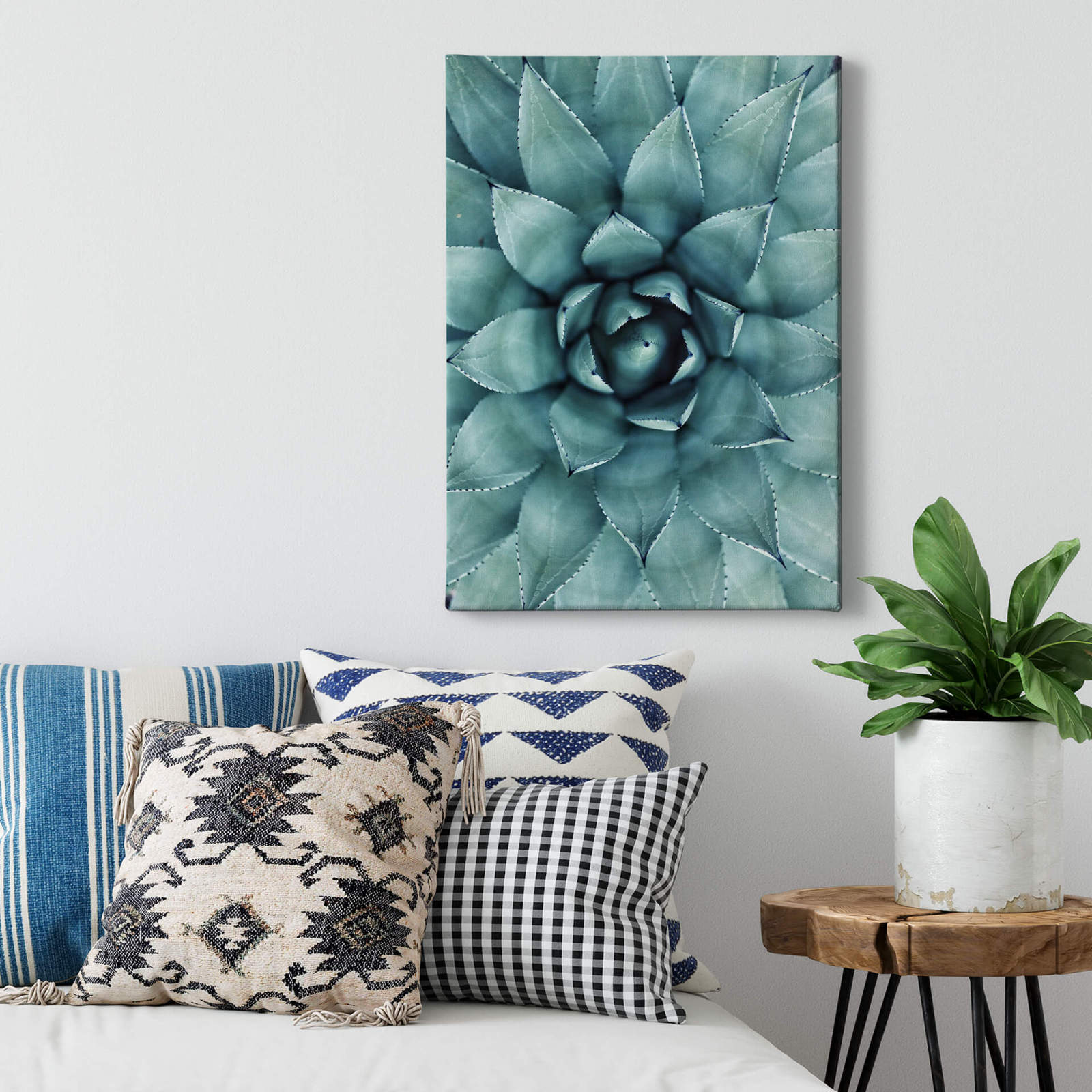 Leinwandbild AGAVE - grün - 50x70 cm