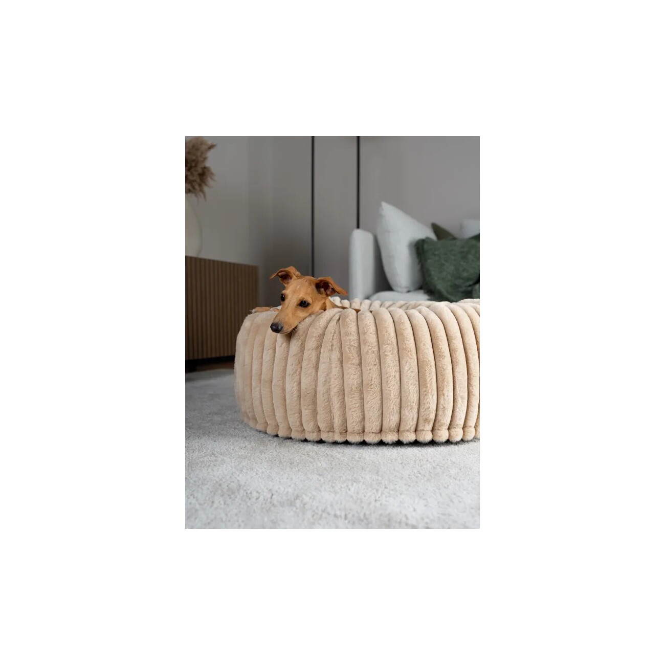 TrendPet Biscuit Spot Hundebett braun/ caramell S