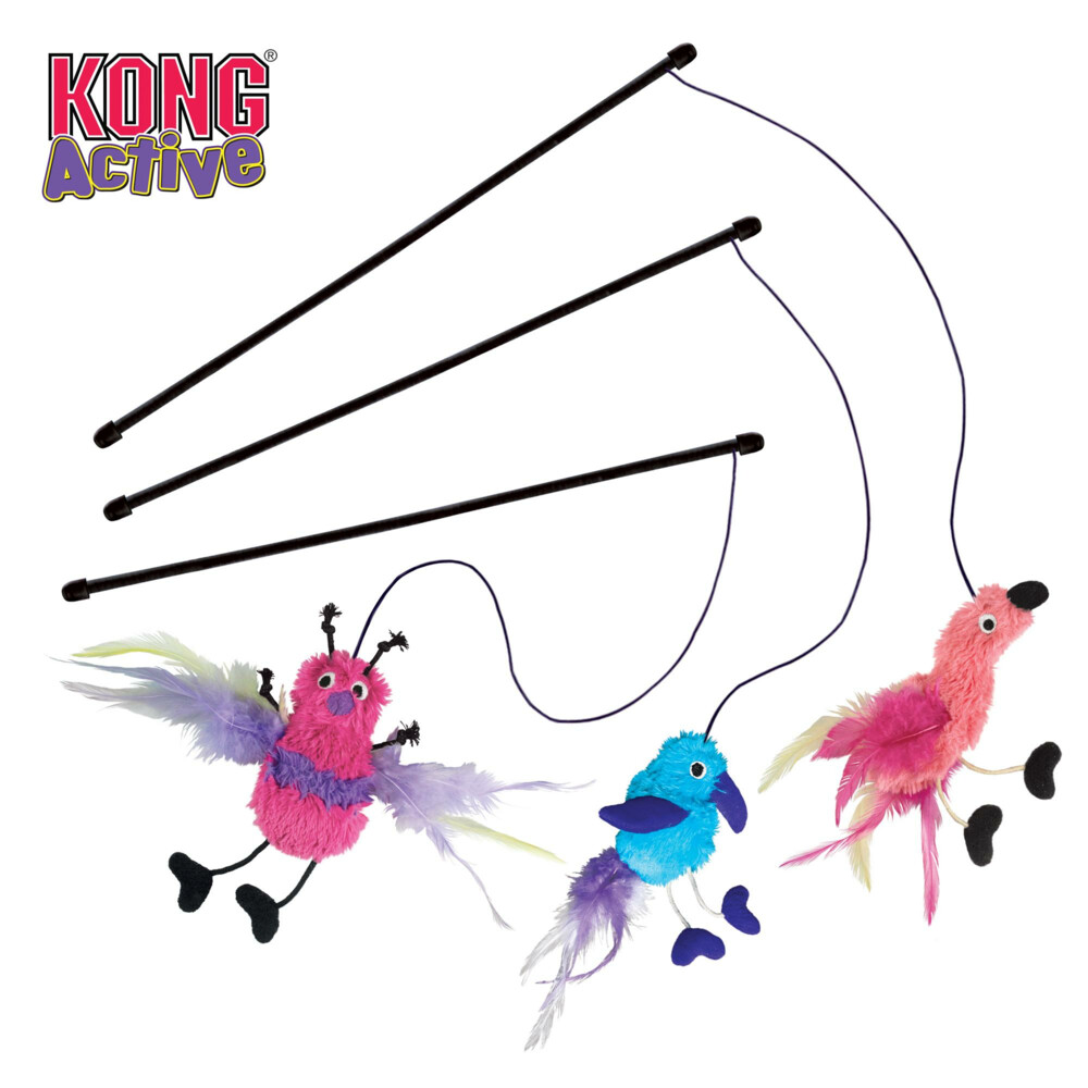 Kong Active Feather Teaser