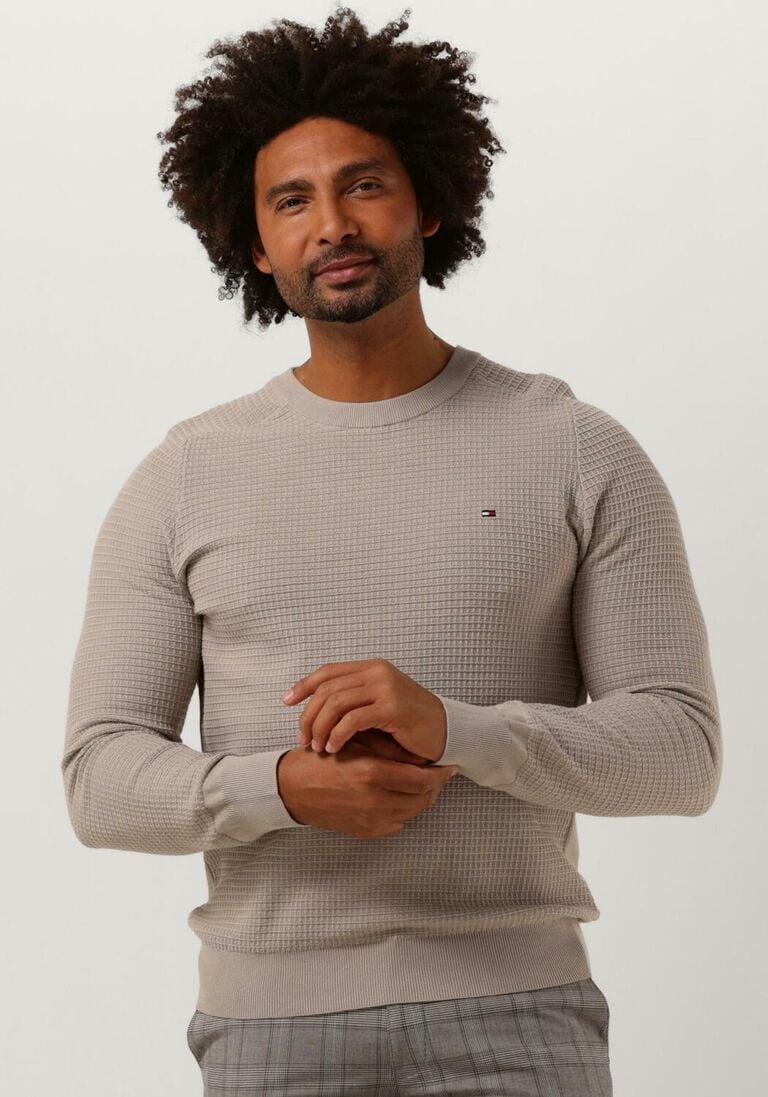TOMMY HILFIGER beige tommy hilfiger trui spring grid structured crew neck