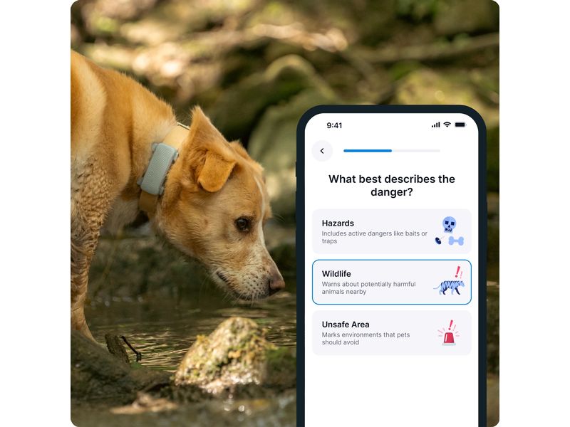 tractive GPS-Tracker DOG 6 Mint GPS Tracker für Hunde